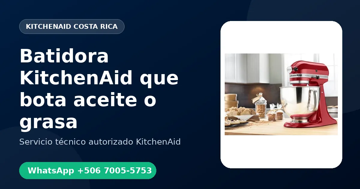 Batidora KitchenAid que bota aceite o grasa: Causas y Reparación en Costa Rica