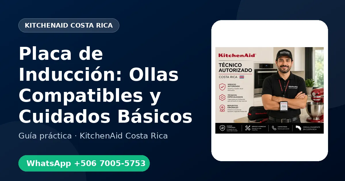Placa de Inducción: Ollas Compatibles y Cuidados Básicos